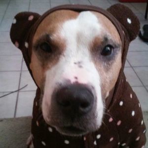 Meet your Posher, Margaret